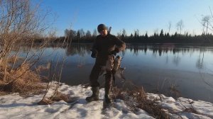 Охота с Подсадной Уткой Весной!!! Яркие Моменты и Шикарная погода.