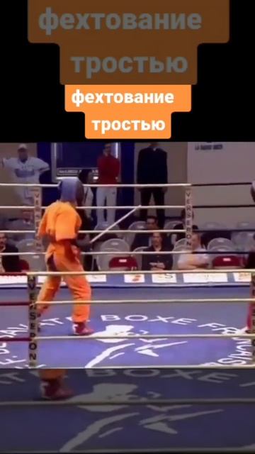 Фехтование тростью. #фехтование #ножевойбой #трость #fencing #savate #shorts
