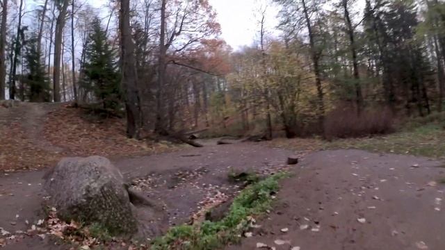 BetaFPV Pavo30 (Stone Head of Peterhof) смотреть онлайн