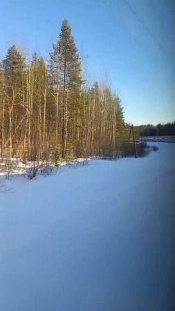 07.03.2025 г., ПТ_Утро и день в поезде, по пути в Апатиты