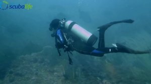 Discover Scuba Diving with Scubalife - Bahrain