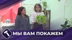 Мы вам покажем: Пересадка цветов