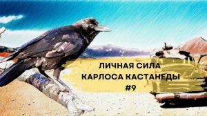 Личная сила Карлоса Кастанеды. Изменение привычного образа самого себя. Выпуск 9