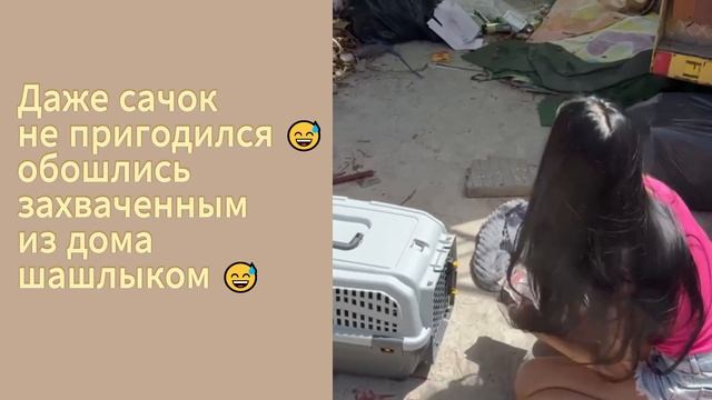 Джимми или все таки Леха😏 #помощьбездомнымживотным #непокупайприюти #собакасисторией смотреть онлайн