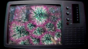 Video Art: Сигнал