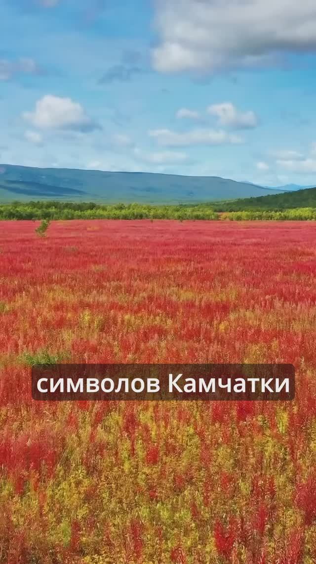 Камчатка