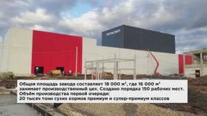 Строительство завода ПЕТЭКСПЕРТ