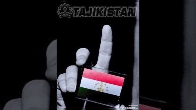 Каспийский груз брутто метис смотреть онлайн