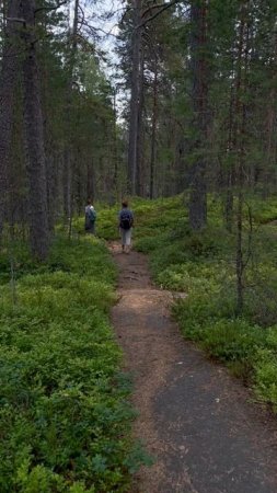 Деревня, деревня. 
Какое милое, многим из нас, сердцу слово ❤️