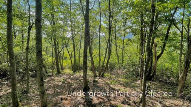 Blowing Rock Homesite - Firethorn Lot 142