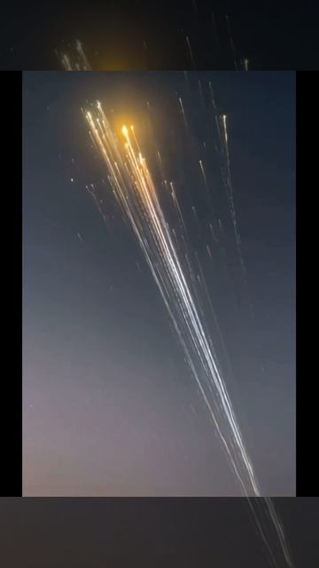 После неудачного запуска Starship