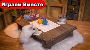 Умные Хомяка играют в ПОДЗЕМЕЛЬЕ И ДРАКОНЫ ! Лабиринт с ЛОВУШКАМИ ! Видео для детей