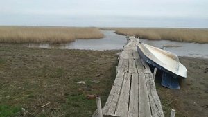 озеро Сартлан с Кармакла Барабинский район
