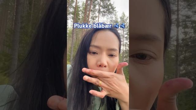 Plukke blåbær i skogen🫐 #เก็บบูลเบอร์รี่ป่า #ป่านอร์เวย์ смотреть онлайн