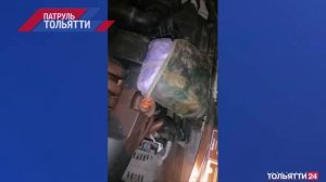 «Патруль Тольятти». Итоги недели 03.12.2022