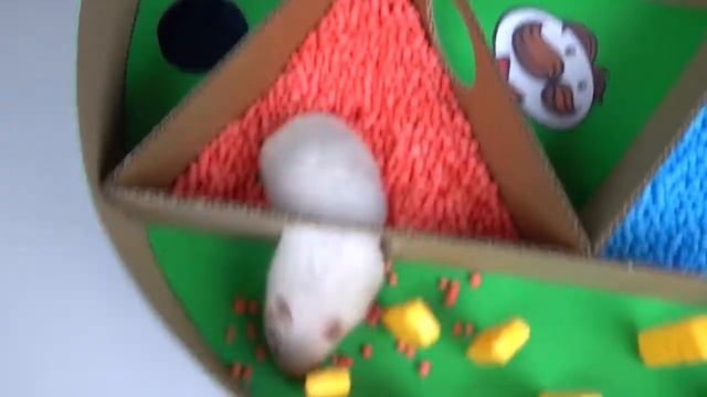 Хомячки и Принглс смотреть онлайн