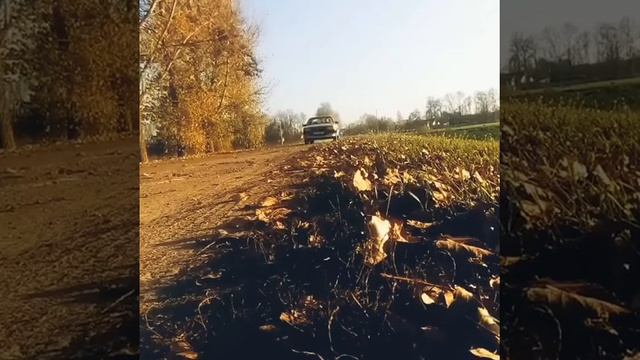 Audi 80 b2 смотреть онлайн