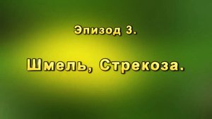 Эпизод-03 Стрекоза
