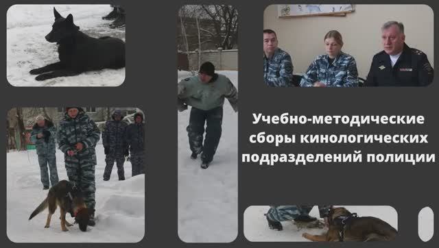 В Ставрополе состоялись учебно-методические сборы с сотрудниками кинологических подразделений