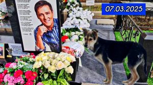 последние новости: могила Юрия Шатунова в преддверии международного женского дня 7 марта 2025 года