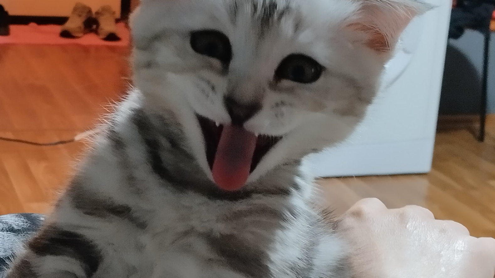 утренняя зарядка