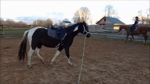 Работа на корде Первые уроки, ознакомление.