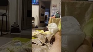 Чунга-Чанга в Жопе Динамит и он уже Горит.