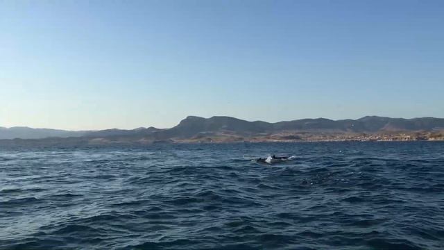 Выход в море - trip to sea смотреть онлайн