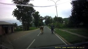 Эххх деревня хороша, когда идёшь ты не спеша