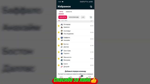Сент-Луис - Торонто / Миннесота - Ванкувер | Прогноз на матчи НХЛ 19 февраля 2024.