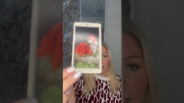 Совет Таро для решения ситуации смотреть онлайн