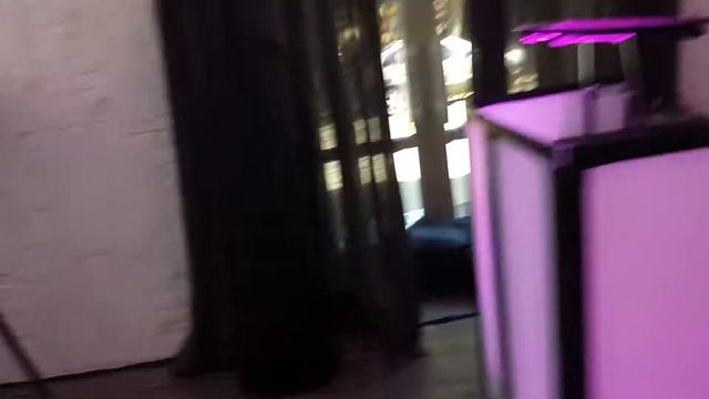 =ВЕДУЩИЙ И ДИДЖЕЙ = Ресторан ЧЕЛЛИНИ ОДЕССА | На свадьбу, корпоратив, выпускной в Одессе
