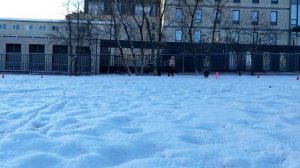 Метис Нэтта - ловля роллов в разметке