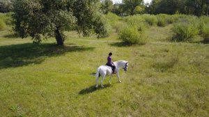 Девочка и лошадь