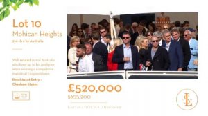 Goffs London Sale 2019