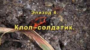 Эпизод-04 Солдатики