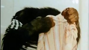 Rette sich, wer kann! (UdSSR, 1961)