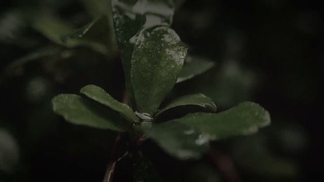 Kapalaran - Bea Lorenzo Official Music Video