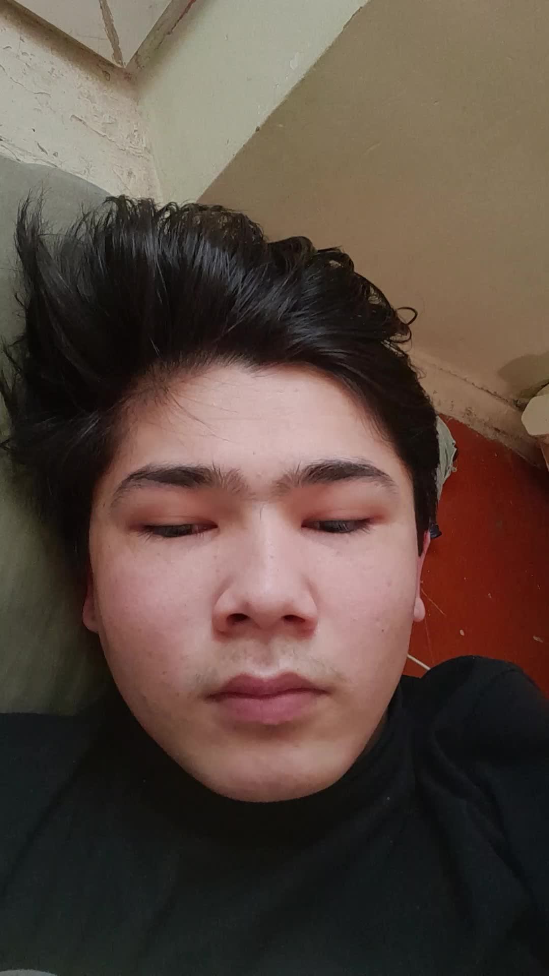 камел
