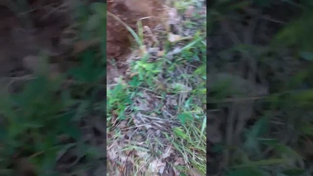 1 копейка 1897 смотреть онлайн