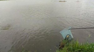 Как ломаются подсачики от рыбы или неправильное использование подсака!)