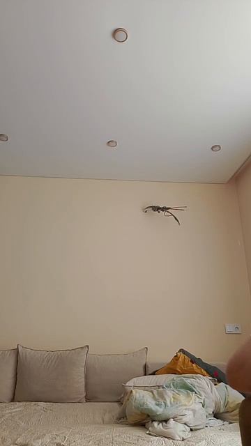 я делаю двойной прыжок