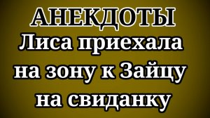 АНЕКДОТЫ Лиса приехала на зону к Зайцу на свиданку