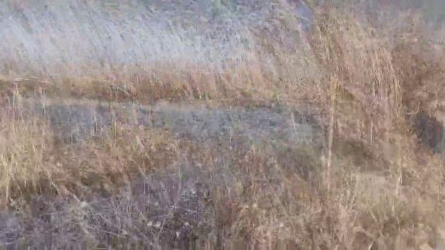 Орнек (22.03.2021) Дом журавлей смотреть онлайн