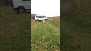 Мр 61 кит киллера