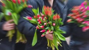 Поздравляю всех женщин с 8 Марта!