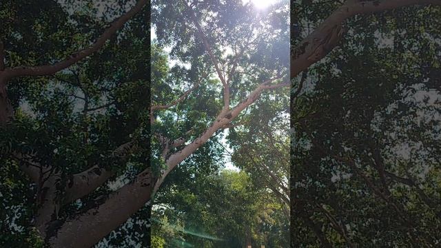 Мьянма 6 день часть 3