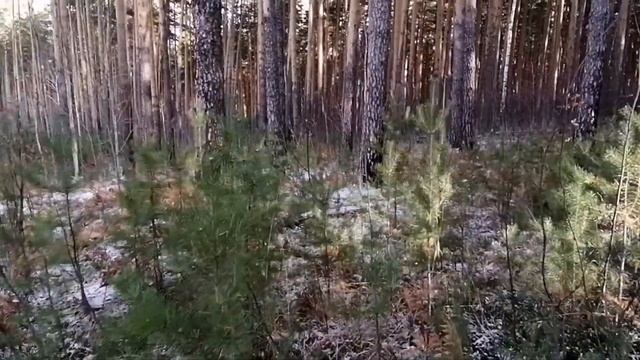 ASMR SOUNDS смотреть онлайн