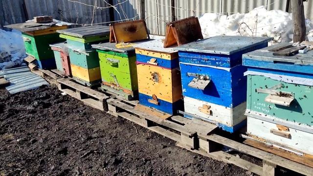 21 марта 2022 г. смотреть онлайн