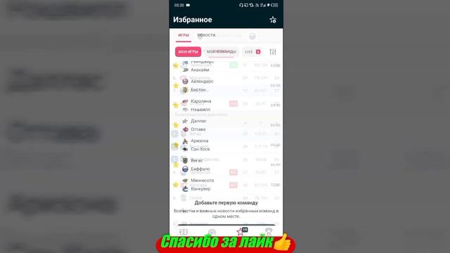 Вегас - Баффало / Миннесота - Ванкувер | Прогноз на матчи НХЛ 16 декабря 2023.